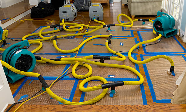 Professional Burst Pipe Water Damage technician working in Elkins, NH
